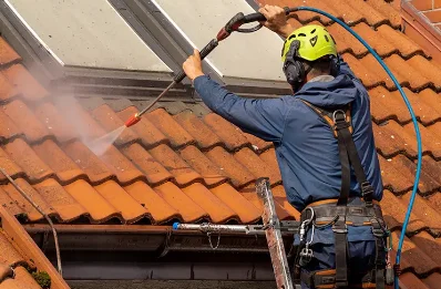 Démoussage et hydrofuge de toiture à Châteaudouble
